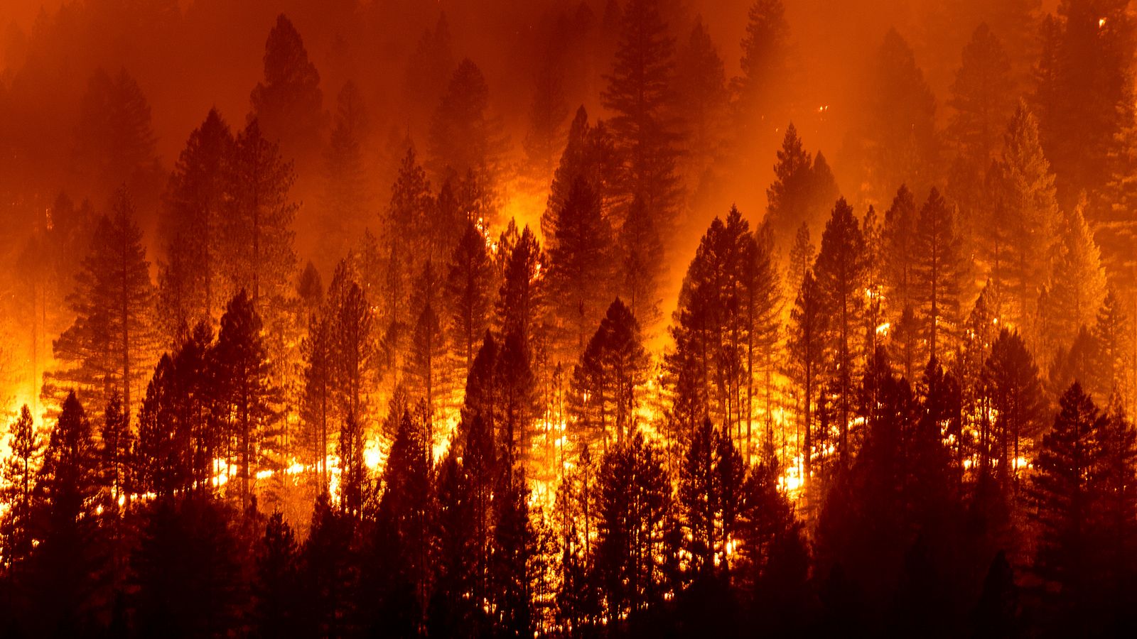 US Firefighters in ‘crisis mode’ as month-long Dixie wildfire threatens thousands of homes