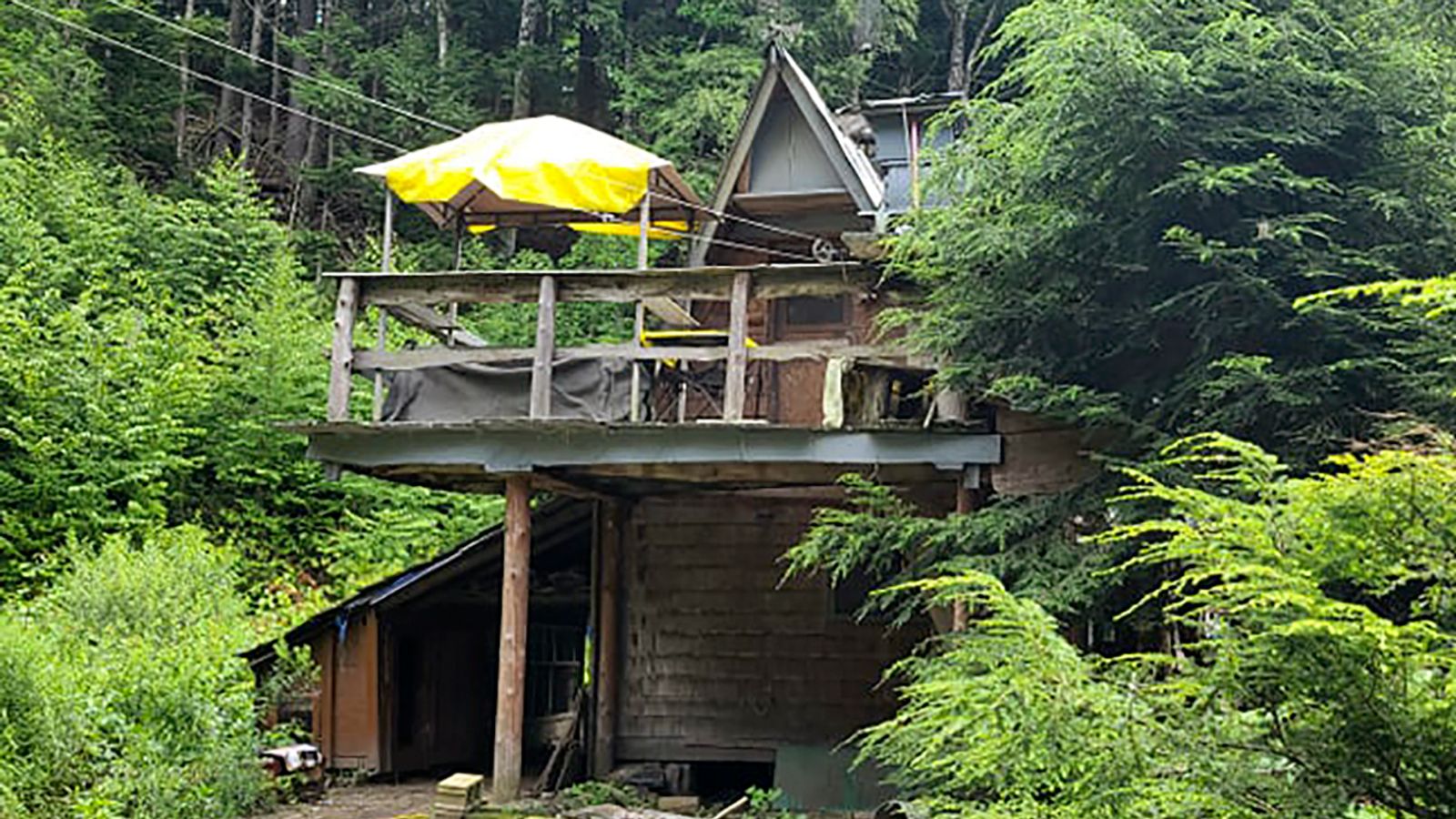 River Dave Hermit, 81, overwhelmed by fundraising and offers of new