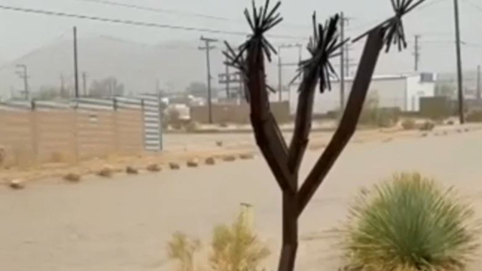 Flood washes through Joshua Tree in California Climate News Sky News