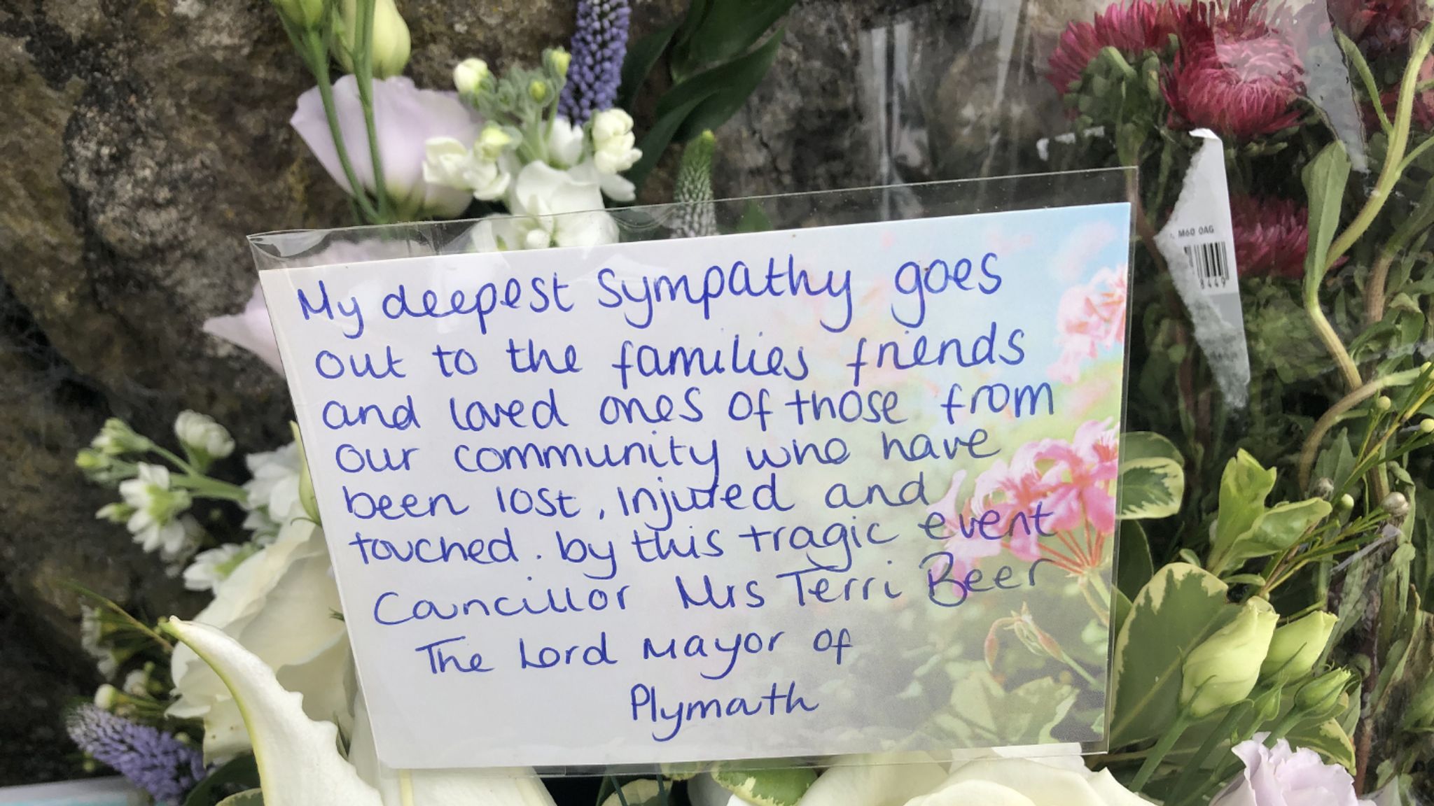 Plymouth shooting: Mother of gunman Jake Davison named among five ...