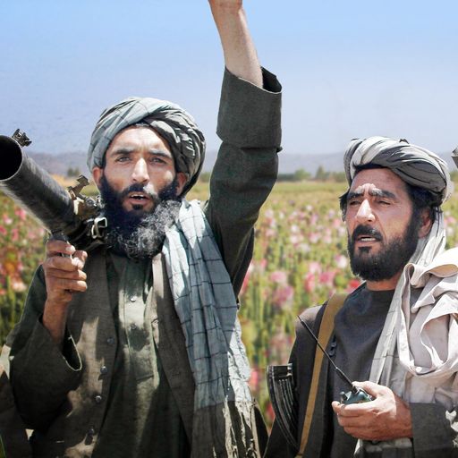 Money and power drive Afghanistan's opium production - how will the Taliban wean themselves off?