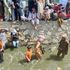 Hope is all they have left: No good options left for refugees waiting in sewage-filled canal