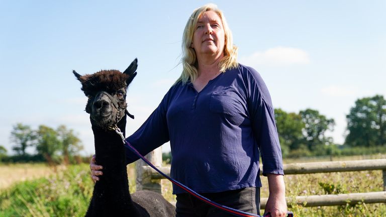 Helen Macdonald avec Geronimo l'alpaga à Shepherds Close Farm à Wooton Under Edge, Gloucestershire, après avoir perdu une ultime soumission de la Haute Cour pour le sauver.  L'animal a été testé positif à deux reprises pour la tuberculose bovine et, en conséquence, le ministère de l'Environnement, de l'Alimentation et des Affaires rurales (Defra) a ordonné sa destruction.  Photo date : mercredi 18 août 2021.