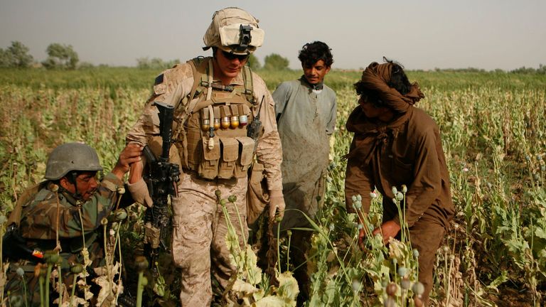 Coalition forces tried for many years to stop the opium trade but ultimately failed