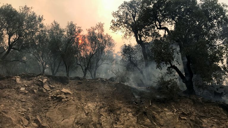 Smoke rises from a forest fire in the mountainous Tizi Ouzou province, east of the Algerian capital, Algiers, August 10, 2021. REUTERS/Abdelaziz Boumzar