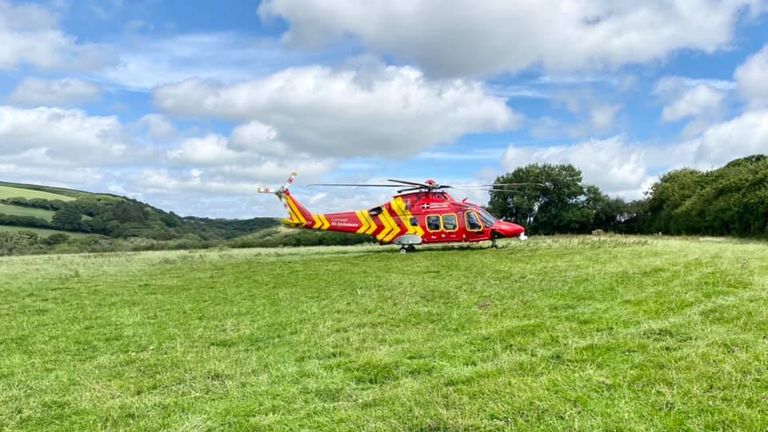 Woman, 83, rescued after falling 70ft down embankment after cat Piran meowed near where she fell. From Bodmin Police Facebook
