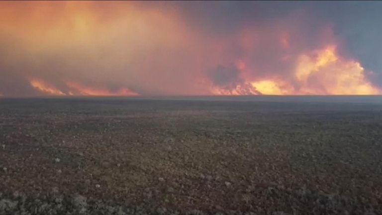 Forest fires have burned thousands of hectares of land in Bolivia.