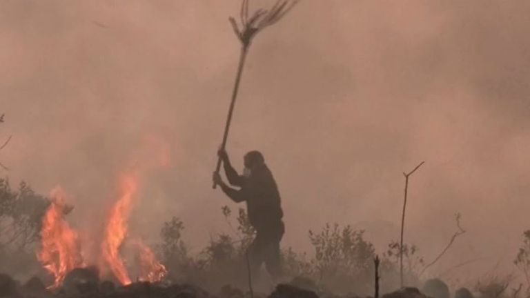 Fire burns out of control in Juquery State Park in Brazil
