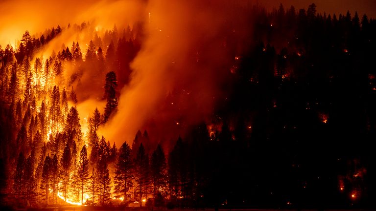 Flames from the Dixie Fire spread in Genesee, California, 21 August. Pic: AP