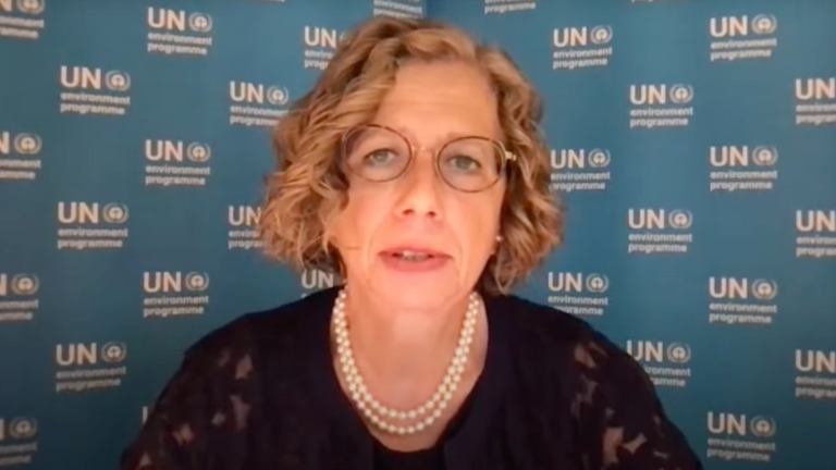 Inger Andersen
Executive Director of the United Nations Environment Programme