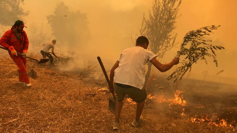 People use tree branches in an attempt to put out the flames of a wildfire in Iboudraren village