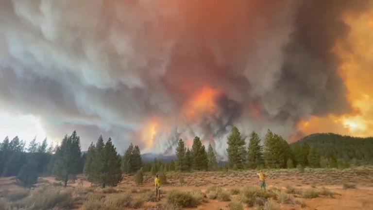 More than 3,000 fire personnel were working on the Dixie Fire, which is estimated to be contained by September 30.