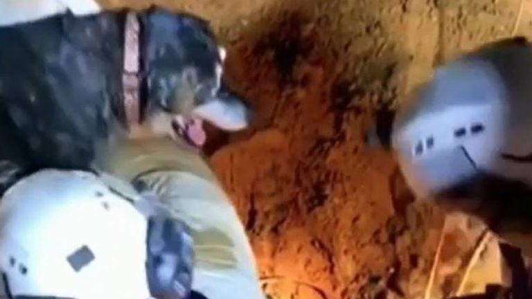 A 15-year-old deaf dog is rescued from a storm drain in Texas