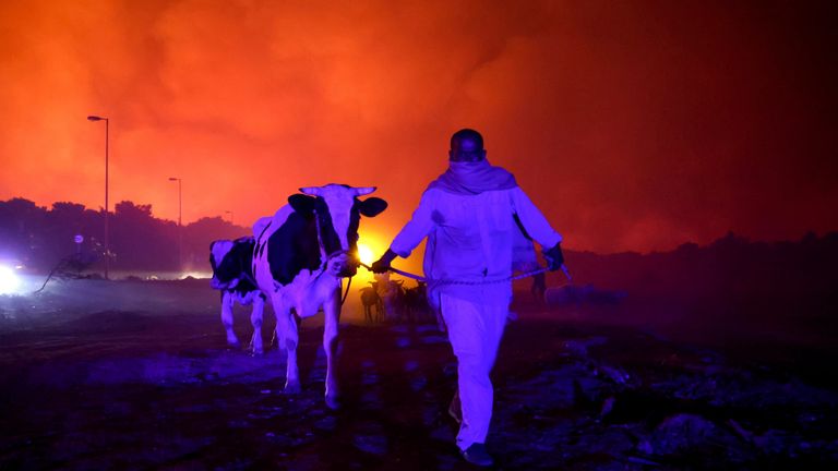 A resident evacuates the area with his animals as a wildfire rages in the suburb of Thrakomakedones, north of Athens