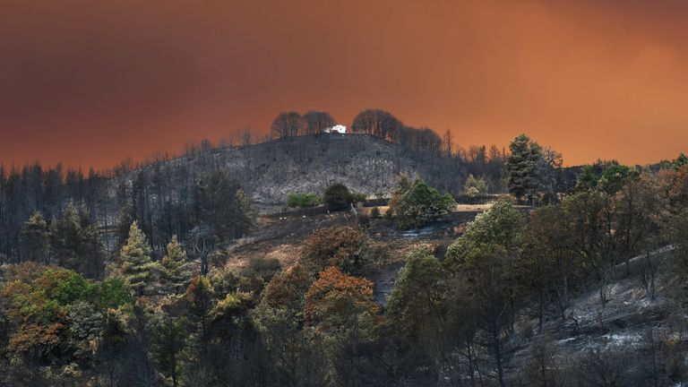 A church is seen among burnt trees in a forest area, as a wildfire burns, on the island of Evia, Greece, August 8, 2021. REUTERS/Alexandros Avramidis