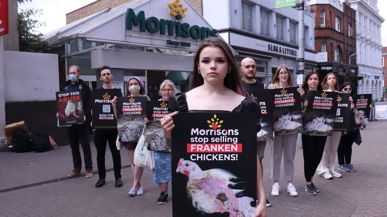 Plus d'une douzaine de manifestations sont prévues dans les magasins Morrisons à travers le pays