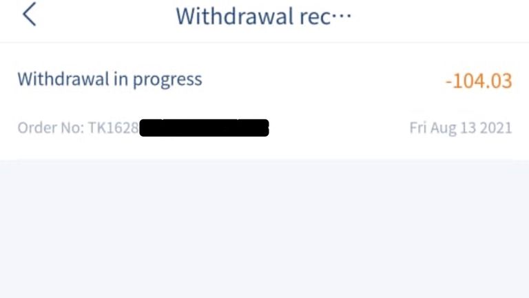 Users who attempt to withdraw a significant amount of their funds complain these withdrawals are frozen &#39;in progress&#39; indefinitely