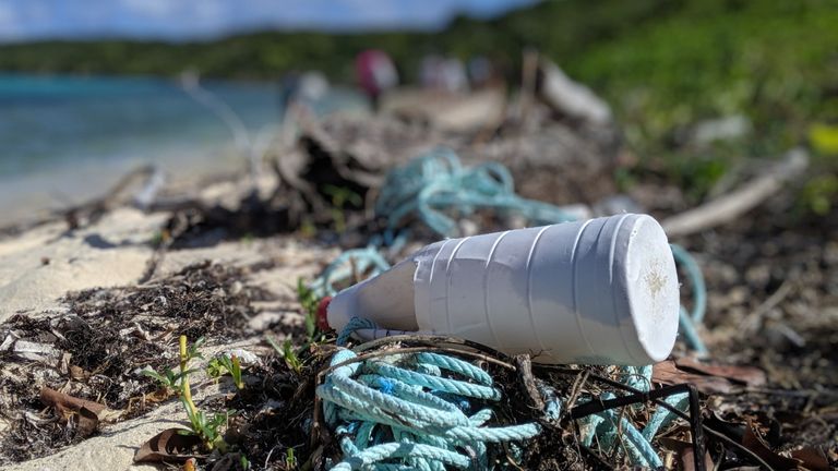 The idyllic Caribbean islands are becoming increasingly strewn with plastic pollution caused by the industries that fund their economies, a study has found.