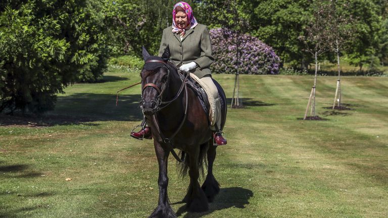The Queen riding a fell pony in Windsor in 2020 