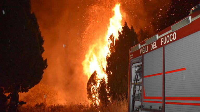 Gli incendi boschivi hanno devastato la Sicilia, distruggendo alberi e minacciando case.  Pic: AP