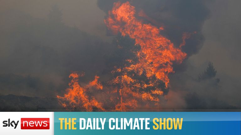 Daily Climate Show 