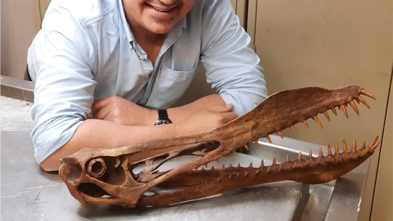 Tim Richards avec le crâne d'un ptérosaure anhanguerien.  Photo : Tim Richard