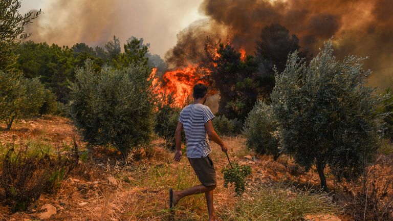 Wildfire in the Kacarlar village near the Mediterranean coastal town of Manavgat, Antalya, Turkey, on Saturday 31 July. Pic: AP