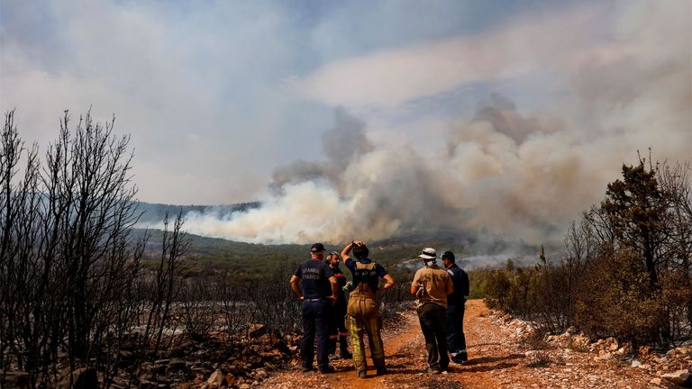 Turkey has been battling some 300 wildfires over the last 16 days (file pic)