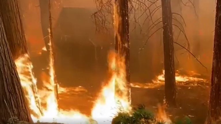 Wildfire rips through Sequoia National Forest in California