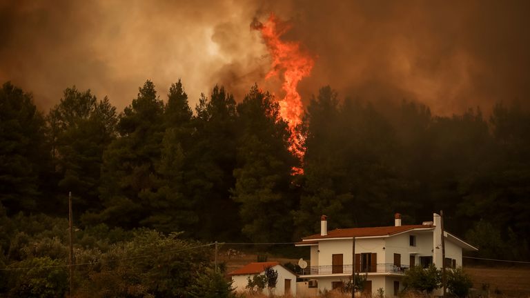 On the island of Evia, people were evacuated by cruise ships after other routes were closed of by flames