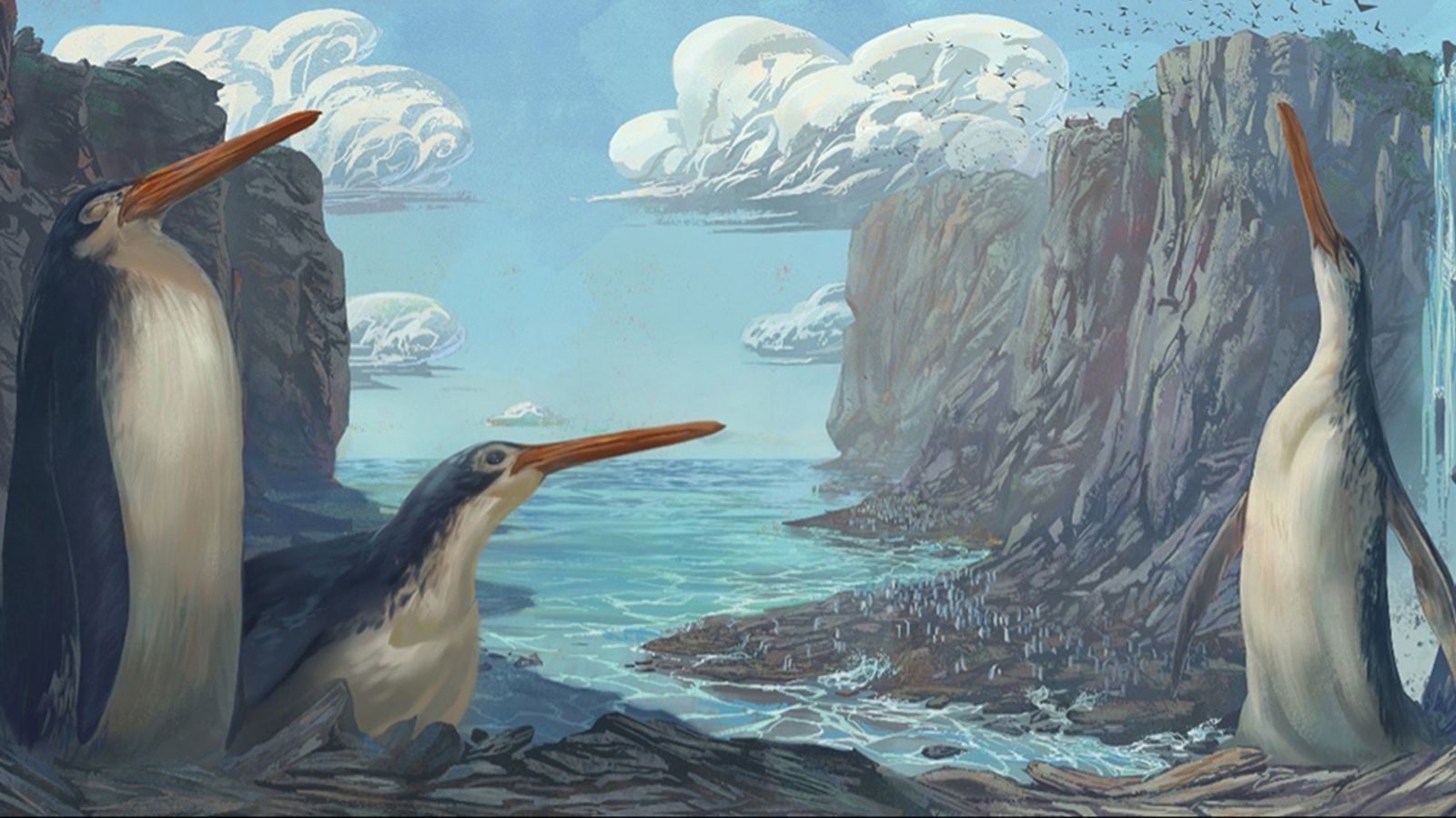Neuseeland: Riesige prähistorische Pinguinarten aus Fossilien identifiziert, die von Schulkindern gefunden wurden |  Nachrichten aus Großbritannien