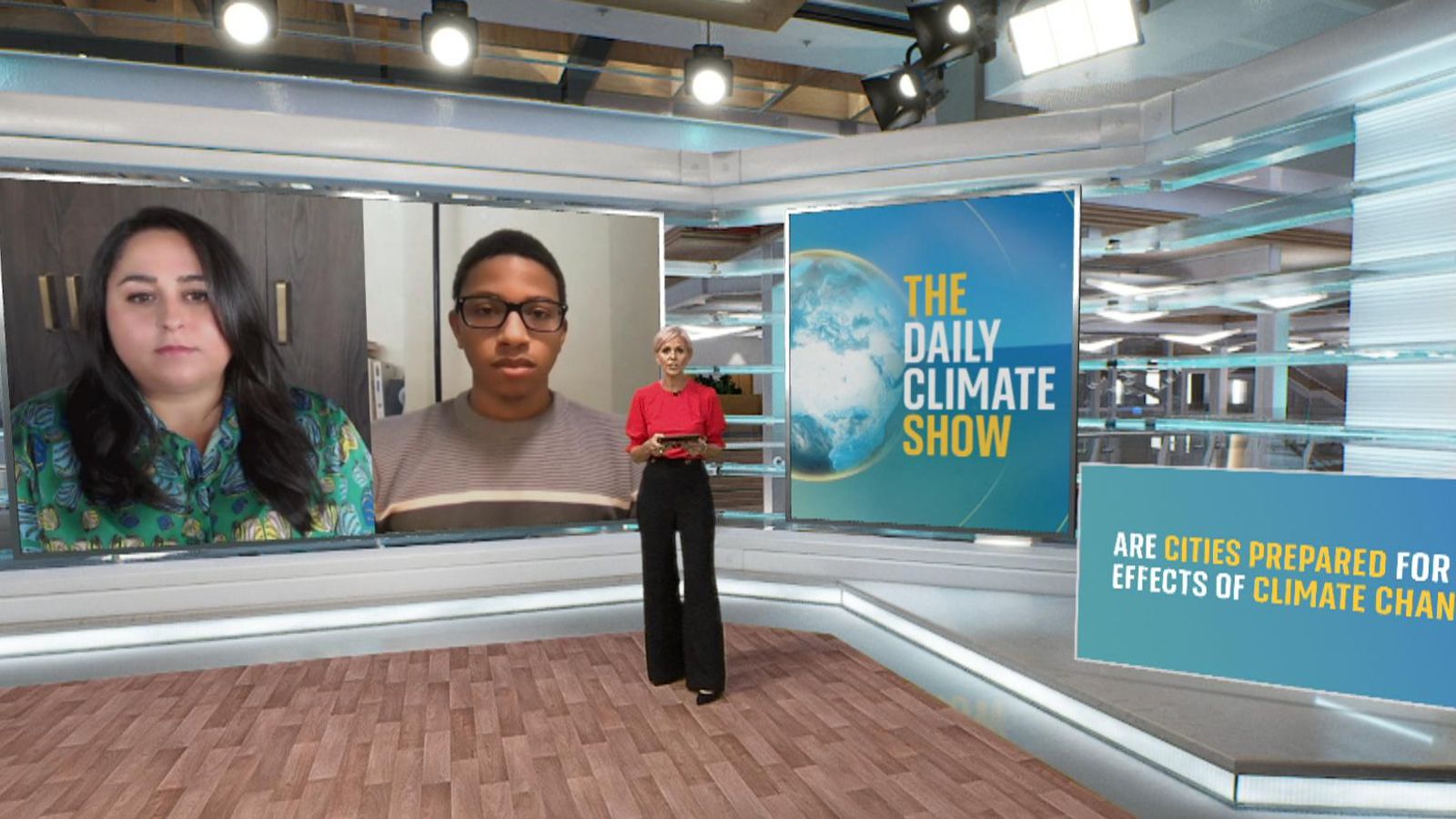 The Climate Show Debate: Time to give up flying? | Sky News