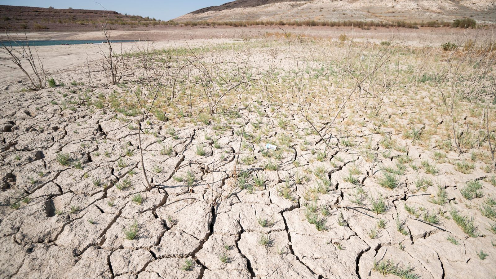 Climate change: US projections on drought-hit Colorado River which ...