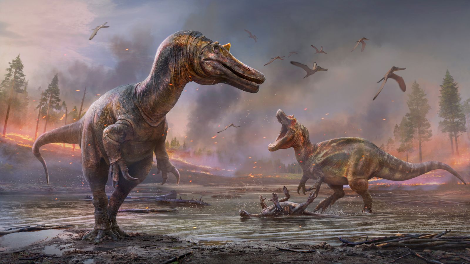 Two new species of dinosaur discovered on Isle of Wight Science