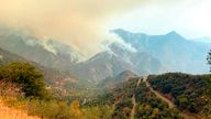Smoke plumes rise from the Paradise Fire in Sequoia National Park. Pic: AP