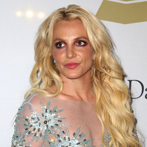 Britney Spears addresses open court: It was clear everyone was stunned by what they heard