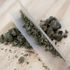 Amazon is lobbying the US government to legalise cannabis