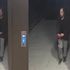 Sabina Nessa murder: Hunt for man caught on CCTV as police arrest suspect