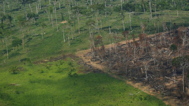 An aerial view shows a deforested plot of the Amazon rainforest in Rondonia State, Brazil September 28, 2021. Picture taken September 28, 2021. REUTERS/Adriano Machado