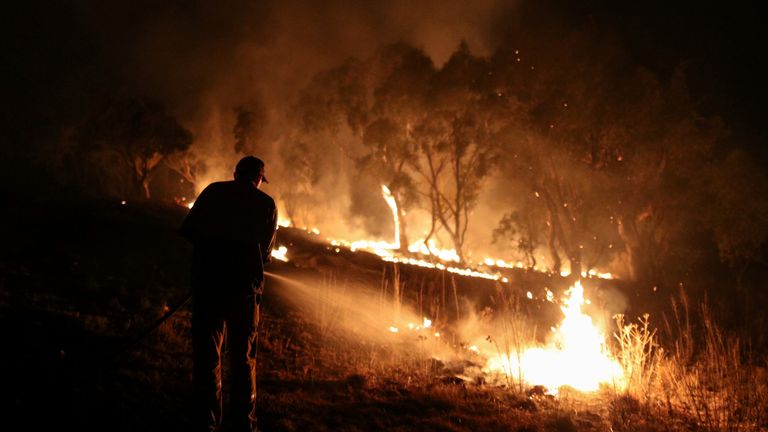 An area more than twice the size of Belgium was burned 