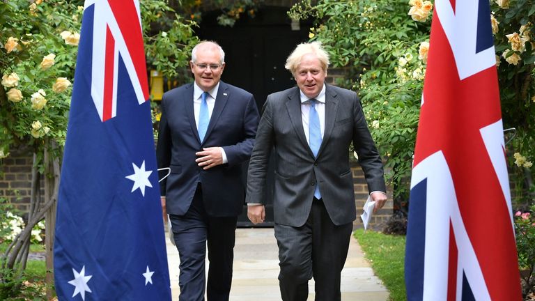 Mr Johnson and Mr Morrison in the garden of 10 Downing Street in June