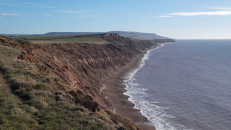 Les fossiles ont été découverts dans la baie de Brighstone, sur l'île de Wight.  Photo : Mypix/CC4