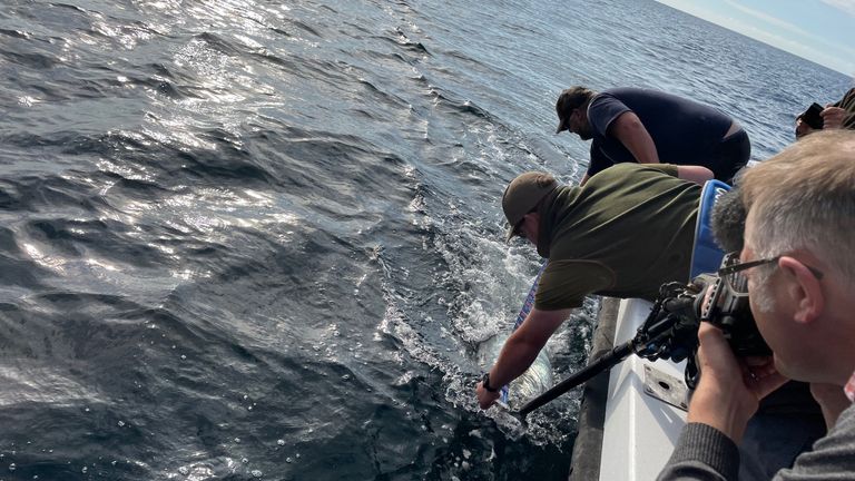 Le pêcheur aide à marquer le poisson