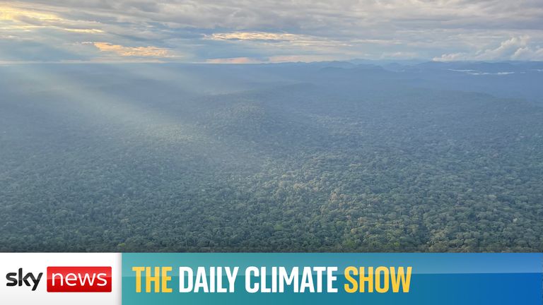 On today’s show, we report from Gabon where more money is needed to help preserve its rainforests.