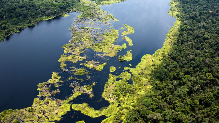 Aerial view of Monboyo River and peatland forest of Salonga National Park south-east of Mbandaka, Democratic Republic of the Congo. Pic: Daniel Beltrá / Greenpeace