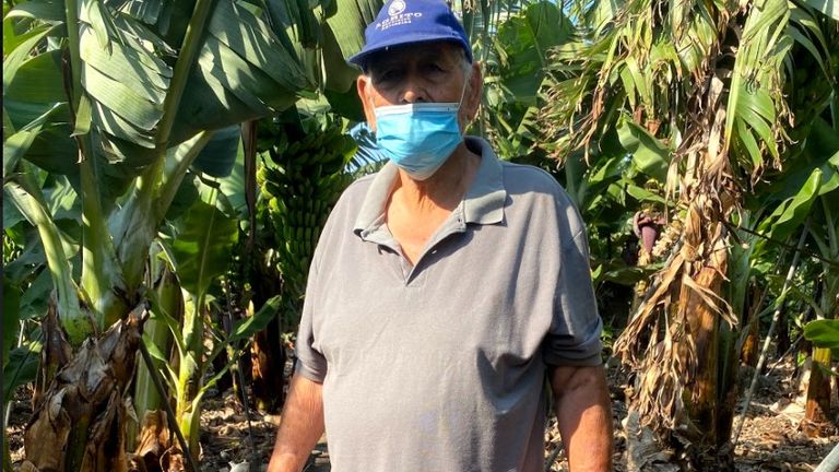 Volcanic dust is damaging the &#39;plátano&#39; skin leaving farmers including Mr de Paz Perez fearing they won&#39;t be able to sell their produce to supermarkets.