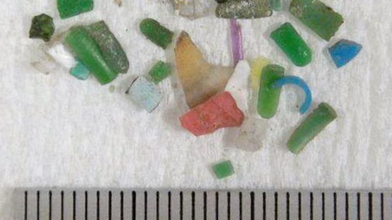 Some "microplastic" or small plastic beads collected in 2013 by Hideshige Takada, a professor at the Tokyo University of Agriculture and Technology, from Tokyo Bay, are displayed on this file photo taken on January 19, 2015. Plastic pieces discarded are reduced to less than 5 millimeters in The size of ultraviolet rays and waves causes it to affect the ecological system throughout the food chain.  (Kyodo via AP Images) == Kyodo