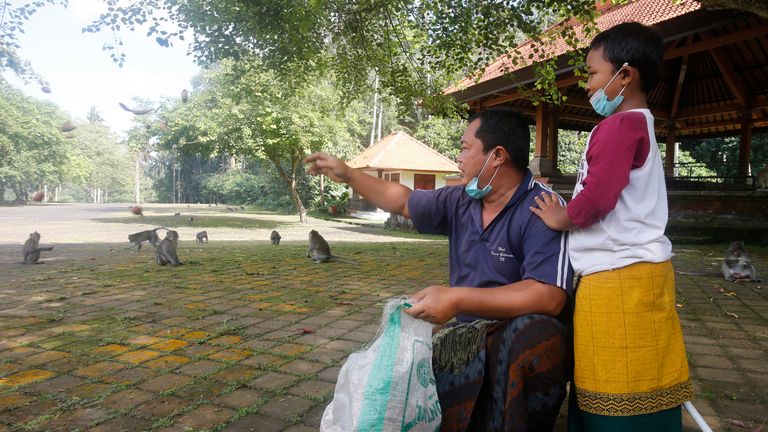 Villagers have been bringing food to the monkeys to try and stop them from raiding homes. Pic AP