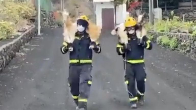 Firefighters rescued two goats in La Palma, one of Spain’s Canary Islands, on September 20, after a volcano erupted the day prior.