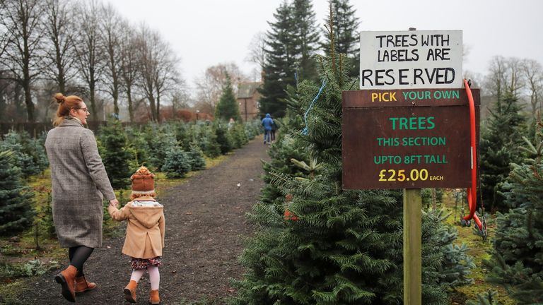 A woman walks with a child at Walton Christmas Trees Centre and Plant Nursery amid the outbreak of the coronavirus disease (COVID-19) in Warrington, Britain,